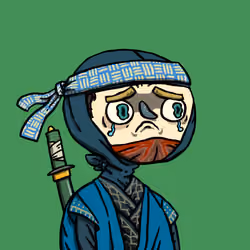 Ninja #3889