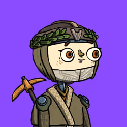 Ninja #6347