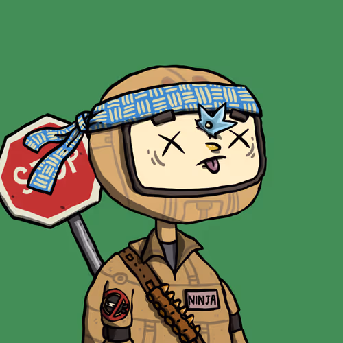 Ninja #599