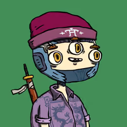 Ninja #8251