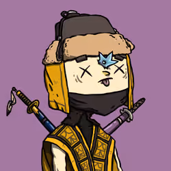 Ninja #1794