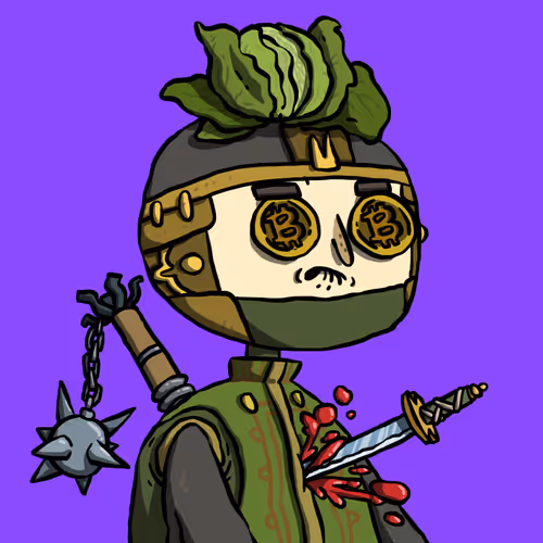 Ninja #8522