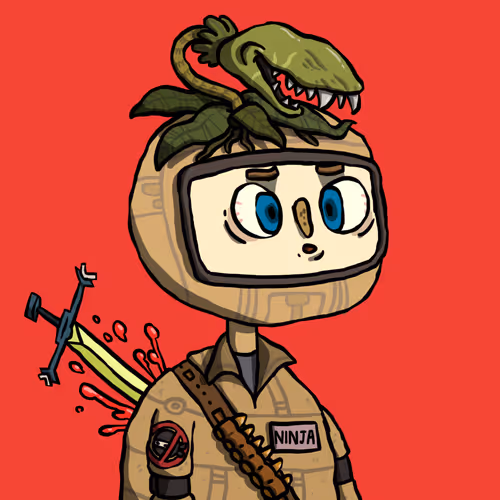 Ninja #4590