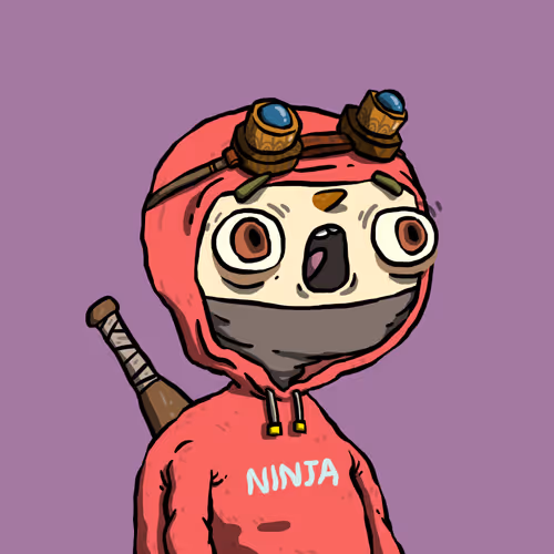 Ninja #4888