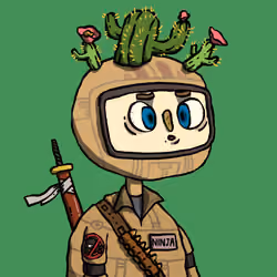 Ninja #2307