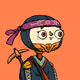 Ninja #8248
