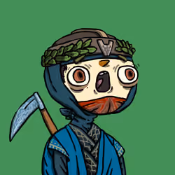 Ninja #6916