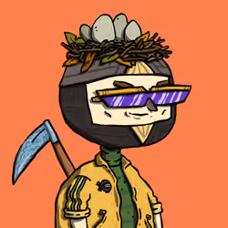 Ninja #8654