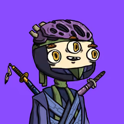 Ninja #2395