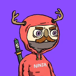 Ninja #696