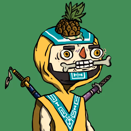 Ninja #3676