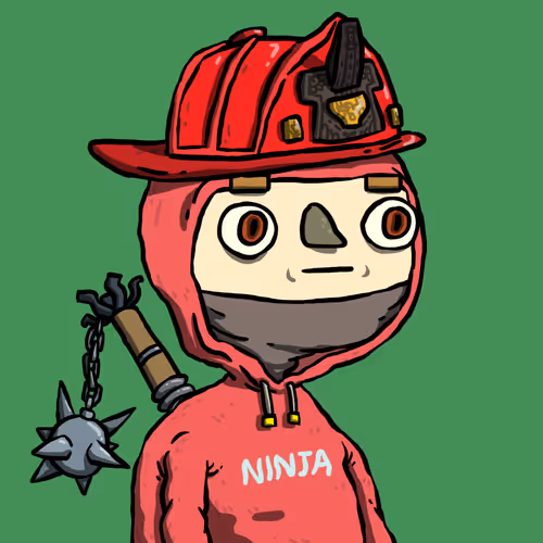 Ninja #8123
