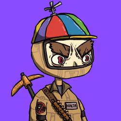Ninja #4292