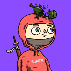 Ninja #3056