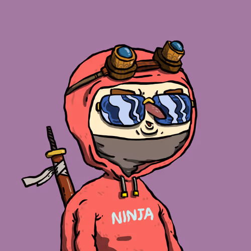 Ninja Squad Official