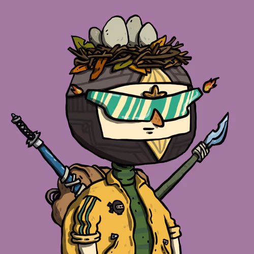 Ninja #1251