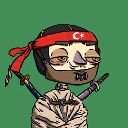 Ninja #3487