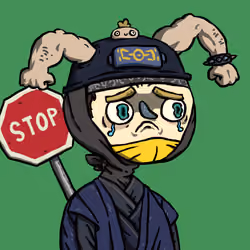 Ninja #302