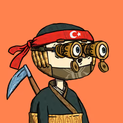 Ninja #2572