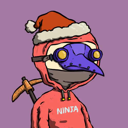 Ninja Squad Official