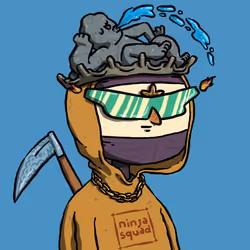 Ninja #4025