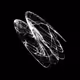 CHAOS ATTRACTORS#519