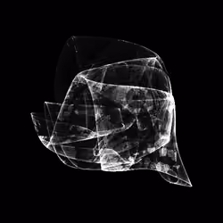CHAOS ATTRACTORS#3119