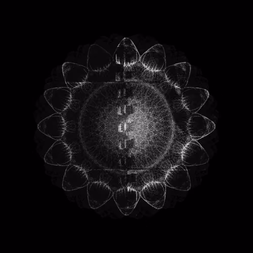 CHAOS ATTRACTORS#894