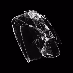 CHAOS ATTRACTORS#3433
