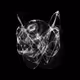 CHAOS ATTRACTORS#1757