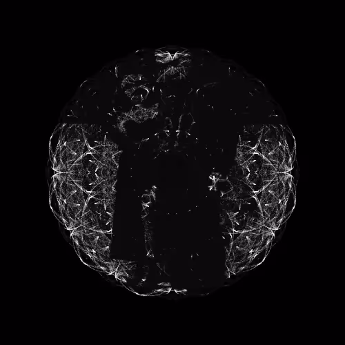 CHAOS ATTRACTORS#307