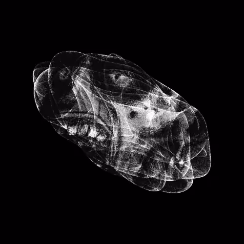 CHAOS ATTRACTORS#448