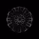 CHAOS ATTRACTORS#3620