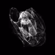 CHAOS ATTRACTORS#3103