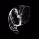 CHAOS ATTRACTORS#463