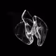 CHAOS ATTRACTORS#3728