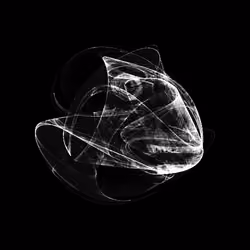 CHAOS ATTRACTORS#3107