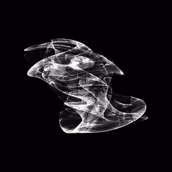CHAOS ATTRACTORS#1983
