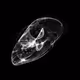 CHAOS ATTRACTORS#555