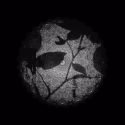 CHAOS ATTRACTORS#3115