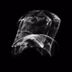 CHAOS ATTRACTORS#114