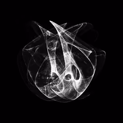 CHAOS ATTRACTORS#4974
