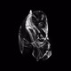 CHAOS ATTRACTORS#115