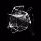 CHAOS ATTRACTORS#1499