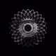 CHAOS ATTRACTORS#3493