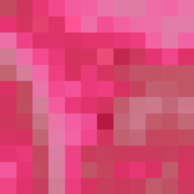 Ethscriptions