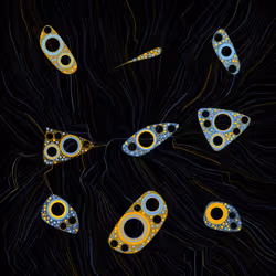 230