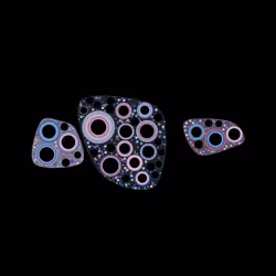 64