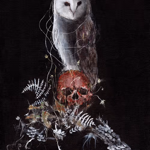 Owl Skull