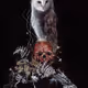 Owl & Skull
